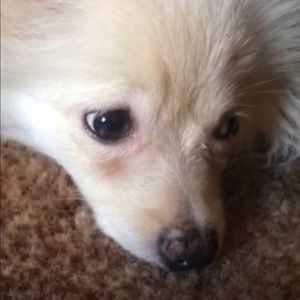 Meet your Posher, Bryan